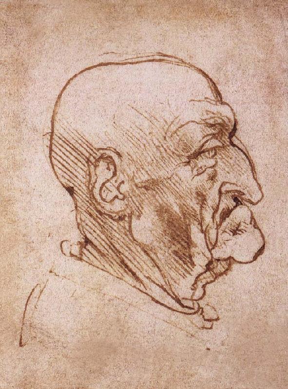 LEONARDO da Vinci Profile of an old man